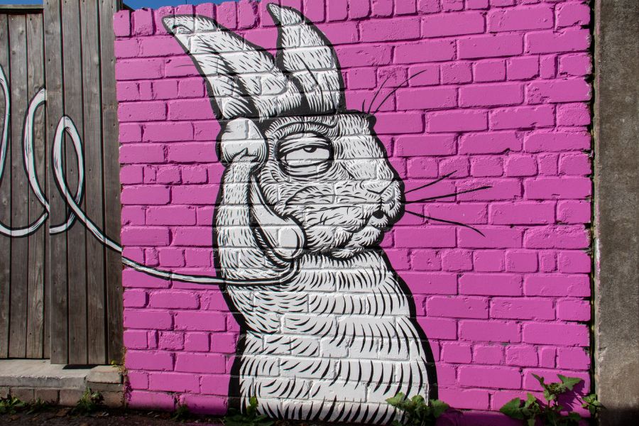 Mural of unhappy rabbit on phone - learn from my mistakes from the first year of business