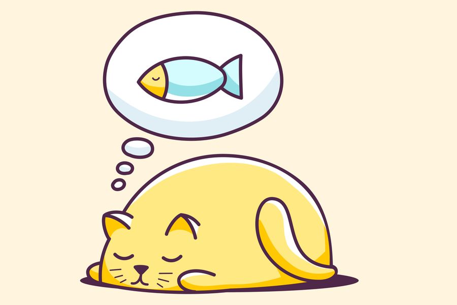 What does the media want? (Cartoon cat dreaming of a fish.)